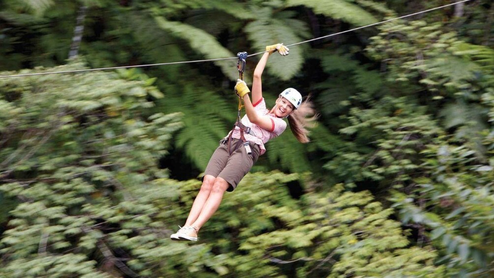 Picture 10 for Activity Treetops Zipline with Natadola Beach Tour & Lunch included