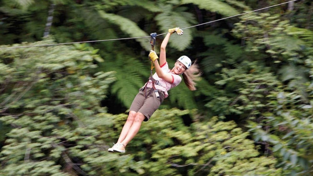 Picture 10 for Activity Treetops Zipline with Natadola Beach Tour & Lunch included