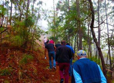 Valle de Bravo: Forest Hiking Adventure