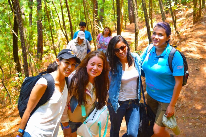 Picture 4 for Activity Valle de Bravo: Forest Hiking Adventure