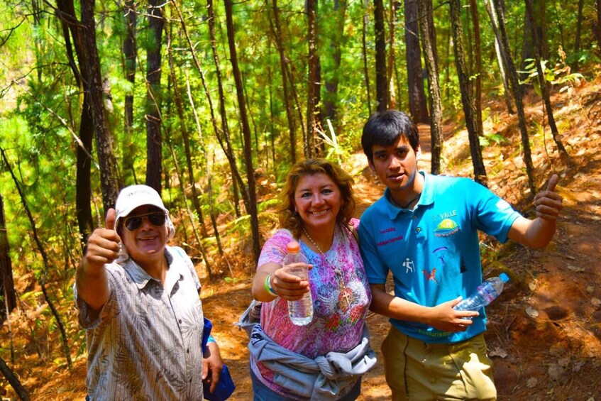 Picture 6 for Activity Valle de Bravo: Forest Hiking Adventure