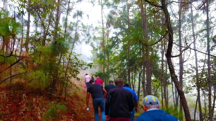 Valle de Bravo: Forest Hiking Adventure