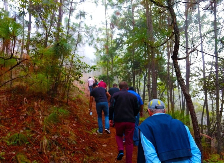 Valle de Bravo: Forest Hiking Adventure