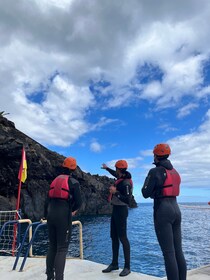 馬德拉：加拉賈海岸健行和懸崖跳水