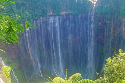 From Surabaya/Malang : Bromo, Ijen, Tumpaksewu in 3 days