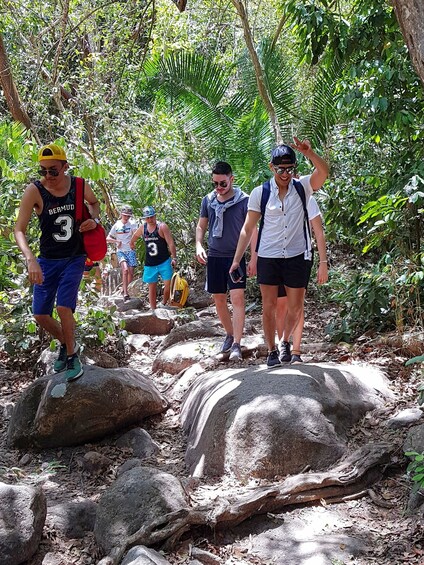 Picture 3 for Activity Puerto Vallarta: 4-Hour Jungle Hike and Waterfall Swim