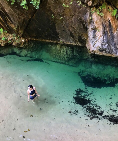 Picture 1 for Activity Puerto Vallarta: 4-Hour Jungle Hike and Waterfall Swim