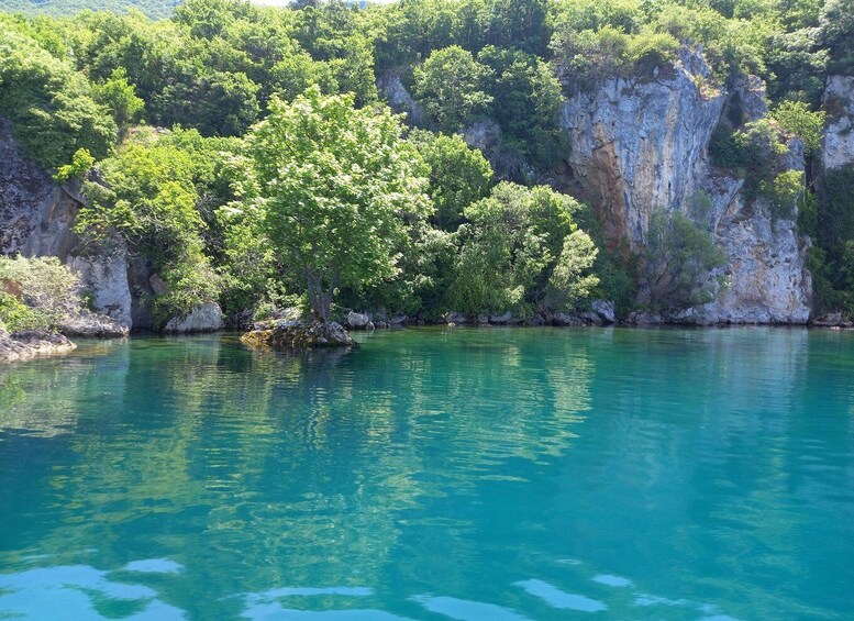 Picture 3 for Activity Ohrid: East Coast and St. Naum Monastery Full-Day Boat Tour