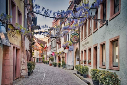 Freiburg im Breisgau: old town privat walking tour Italian