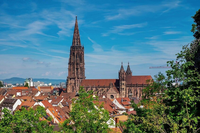 Picture 4 for Activity Freiburg im Breisgau: old town walking tour in Italian