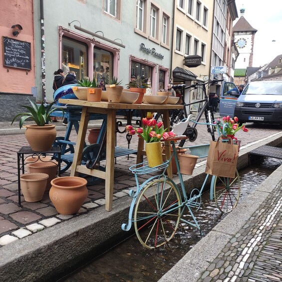 Picture 7 for Activity Freiburg im Breisgau: old town walking tour in Italian