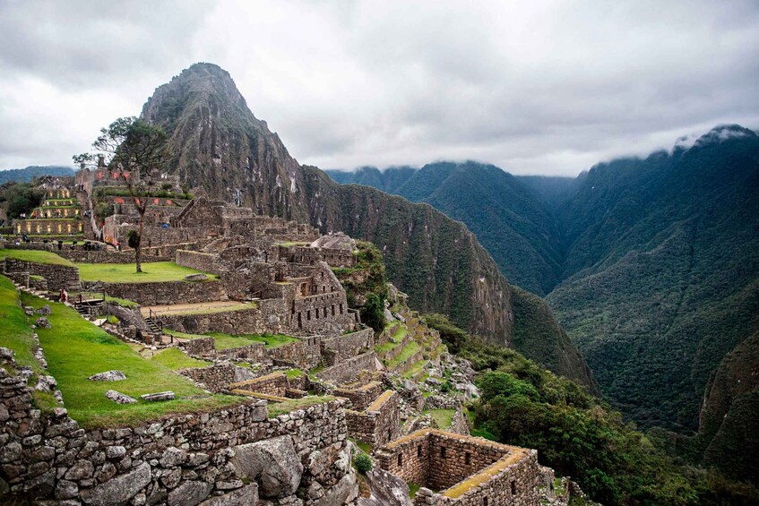 Picture 5 for Activity Machu Picchu: Local Guide in Machu Picchu Private and Group