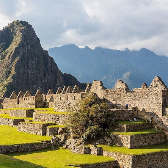 Picture 2 for Activity Machu Picchu: Local Guide in Machu Picchu Private and Group