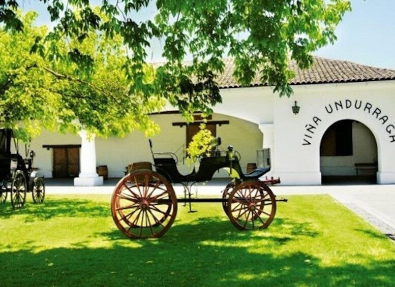 Undurraga Wine tour