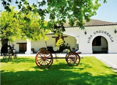 Undurraga Wine tour