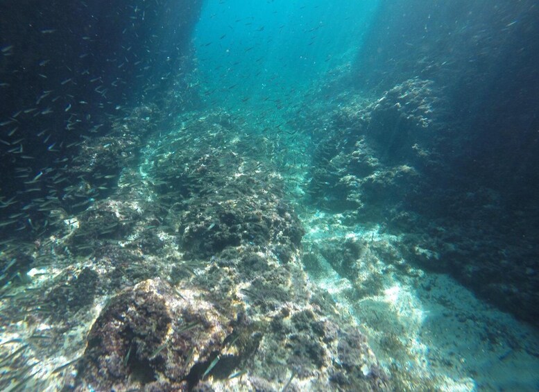 Picture 5 for Activity Dubrovnik: Blue Cave Tour by Speedboat with Small Group