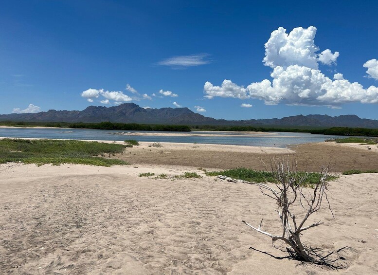 Shark Island: Tour of the largest island in Mexico