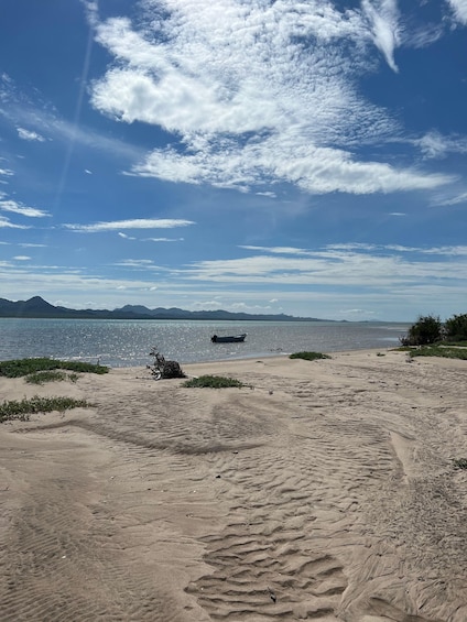 Picture 6 for Activity Shark Island: Tour of the largest island in Mexico