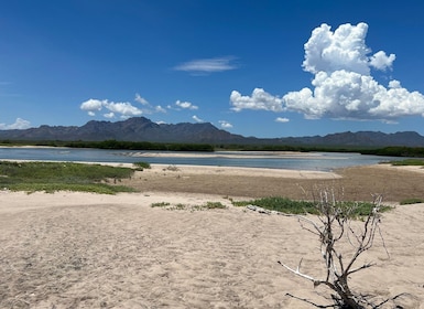 Shark Island: Tour of the largest island in Mexico