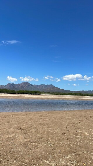 Picture 3 for Activity Shark Island: Tour of the largest island in Mexico