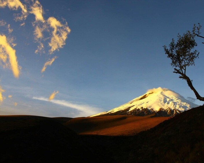 Picture 4 for Activity Cotopaxi: The beauty of the Andes