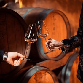 Valdadige: Roeno Guided Tour and Wine tasting