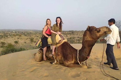 From Jodhpur : Camel Safari , Buffet Dinner + Folk Dance