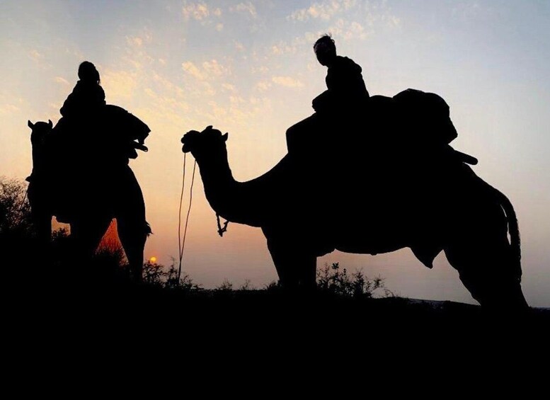 Picture 1 for Activity From Jodhpur : Camel Safari , Buffet Dinner + Folk Dance