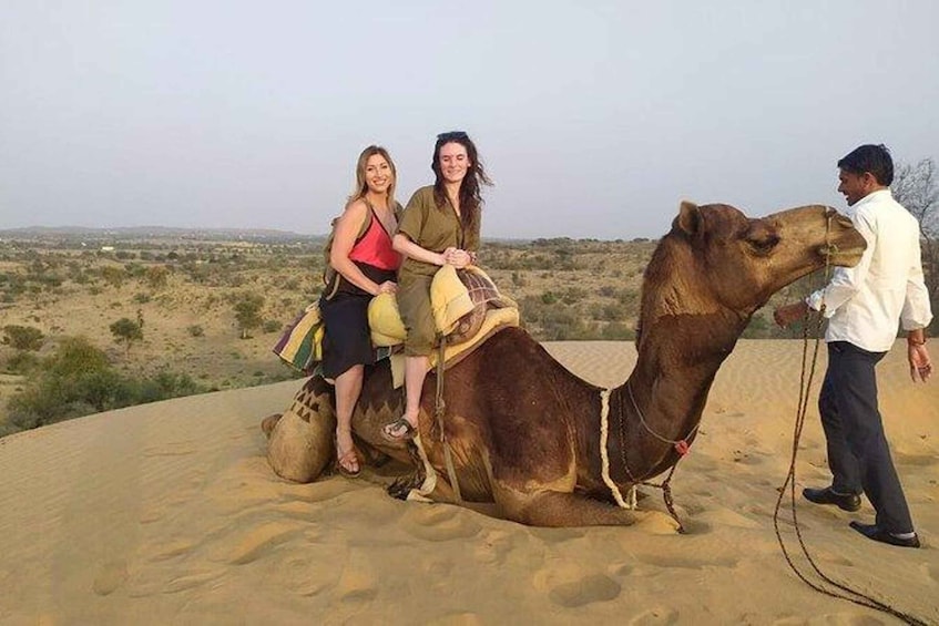 From Jodhpur : Camel Safari , Buffet Dinner + Folk Dance