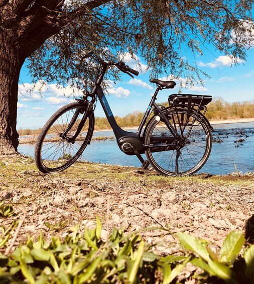 Picture 1 for Activity Loire castles with electric bicycle