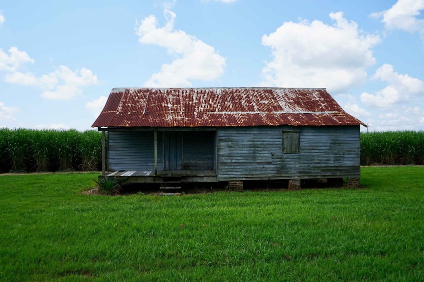 Picture 3 for Activity New Orleans: Felicity Plantation Guided Tour