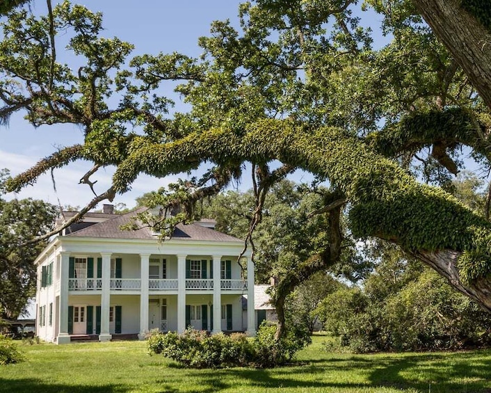 New Orleans: Felicity Plantation Guided Tour