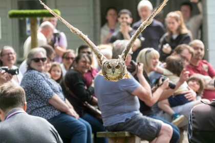 York: Entry to York bird of prey centre