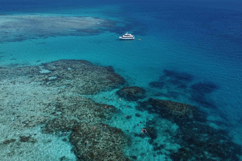 Picture 2 for Activity Reef & Island | Outer Reef & Dunk Island | Mission Beach