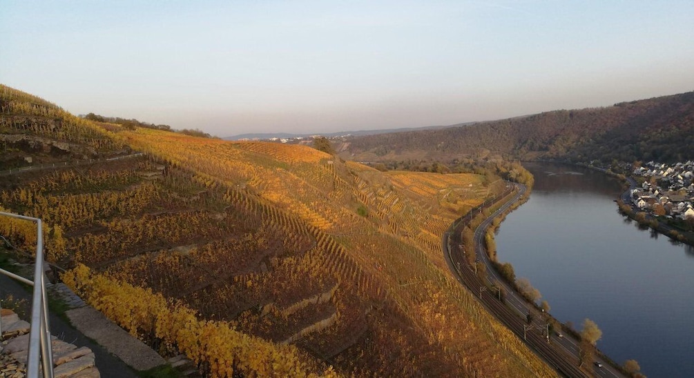 Picture 9 for Activity Koblenz: The Living Vineyard, Nature & Wine Enjoyment