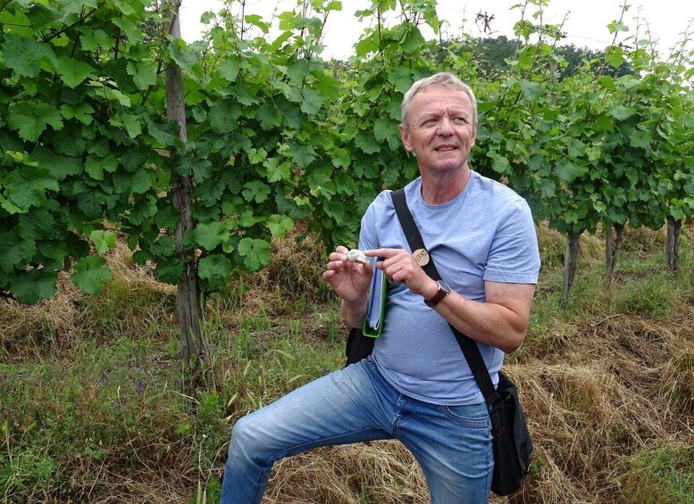Picture 3 for Activity Koblenz: The Living Vineyard, Nature & Wine Enjoyment