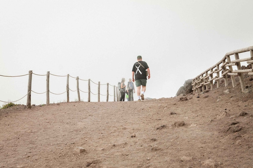 Picture 9 for Activity Mount Vesuvius: Skip-the-Line Ticket and Audio Guide