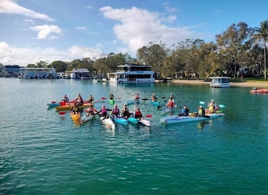 Noosa River: Mangroves and Mansions Guided Kayak Tour