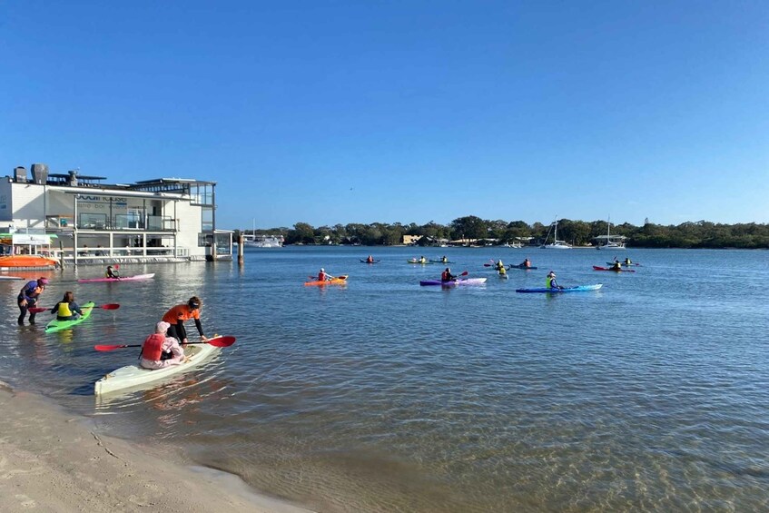 Picture 2 for Activity Noosa River: Mangroves and Mansions Guided Kayak Tour