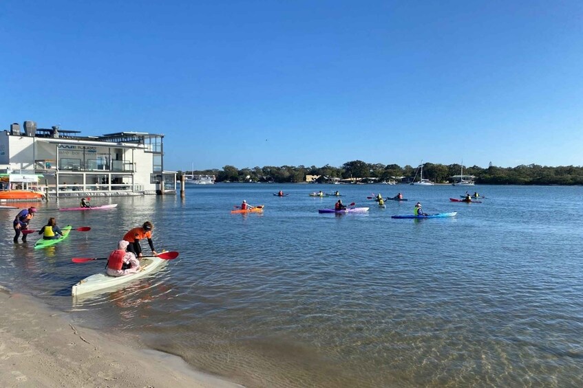 Picture 2 for Activity Noosa River: Mangroves and Mansions Guided Kayak Tour