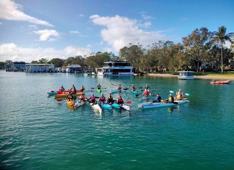 Noosa River: Mangroves and Mansions Guided Kayak Tour