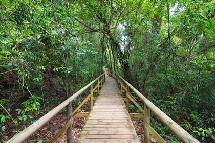 San Jose: Escursione di un giorno al Parco Nazionale Manuel Antonio con pra...