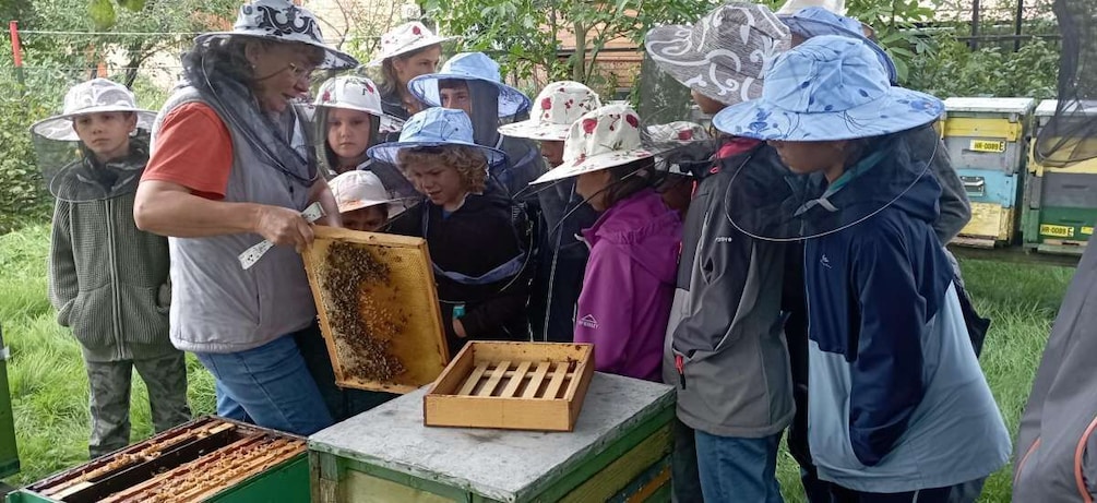 Corund, HR: Visit to bee-keeper, tasting & hive-opening