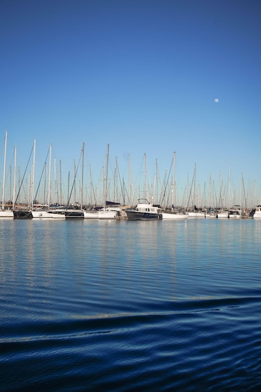 Picture 6 for Activity Valencia: Motor Catamaran Boat Tour with Sunset Option