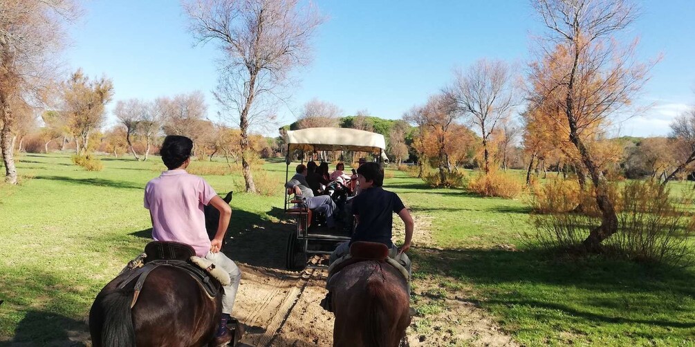 Horse-Drawn Carriage Route Through Doñana Park and The Villa