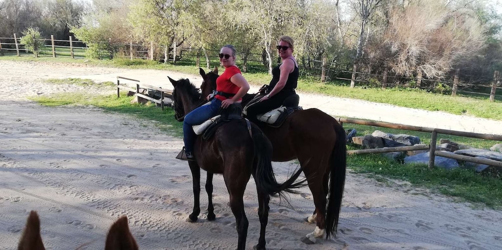 Picture 3 for Activity Horse-Drawn Carriage Route Through Doñana Park and The Villa