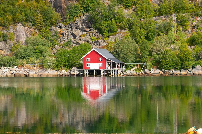 Picture 4 for Activity Tromsø: Private Arctic Fjords and Sommarøy Scenic Day Trip