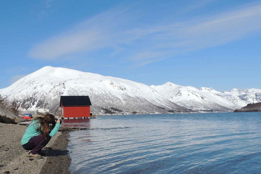 Picture 9 for Activity Tromsø: Private Arctic Fjords and Sommarøy Scenic Day Trip