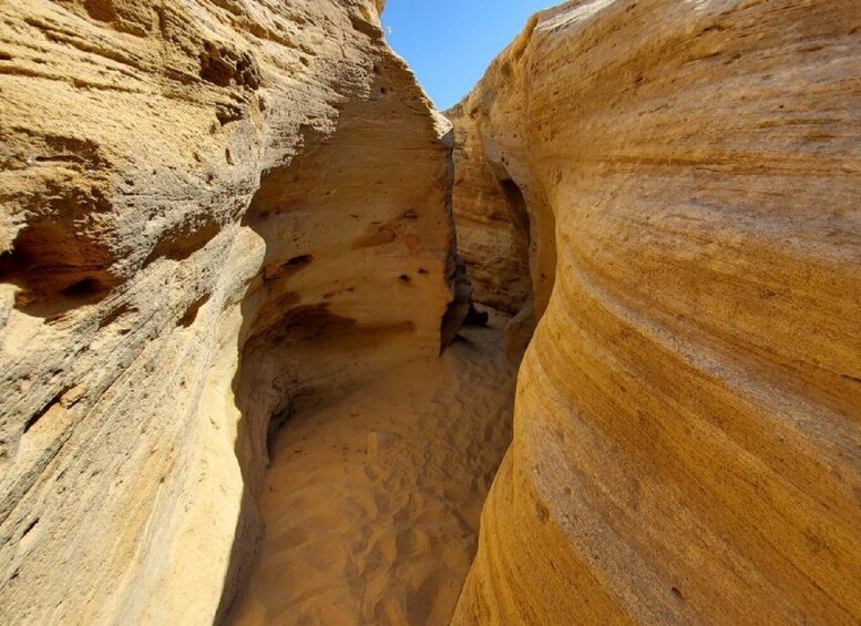 Picture 11 for Activity Half Day Desert Sand Boarding Experience With Dinner