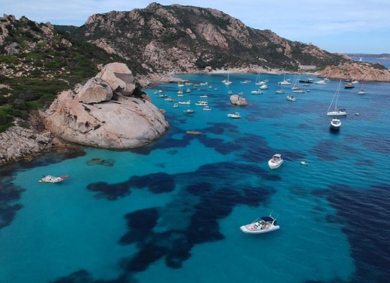 Picture 4 for Activity LA MADDALENA: 7 Islands/7 Stops, guided boat tour+snorkeling